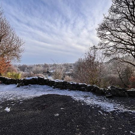 Sligo Forest Retreat エクステリア 写真