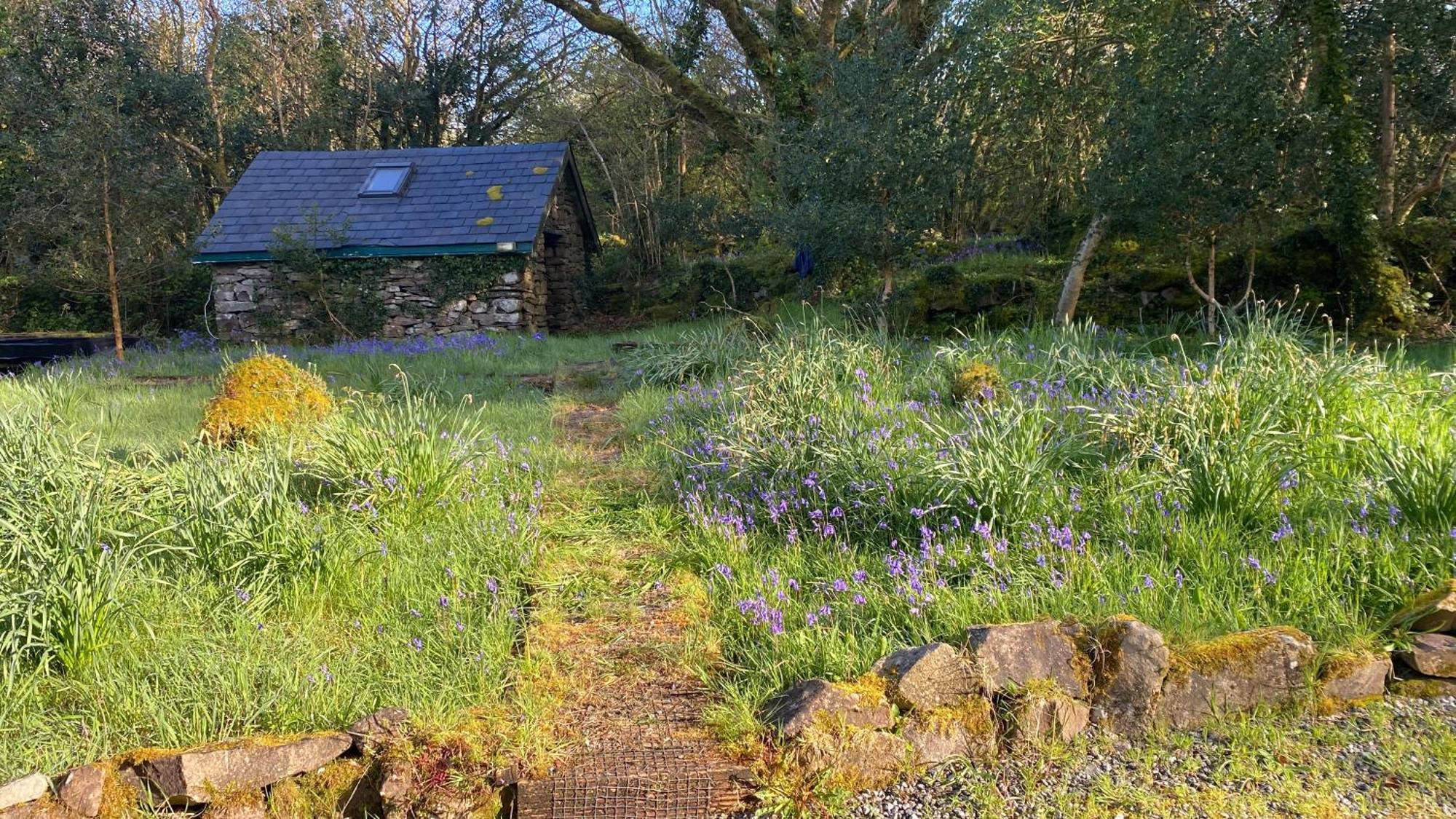 Sligo Forest Retreat エクステリア 写真