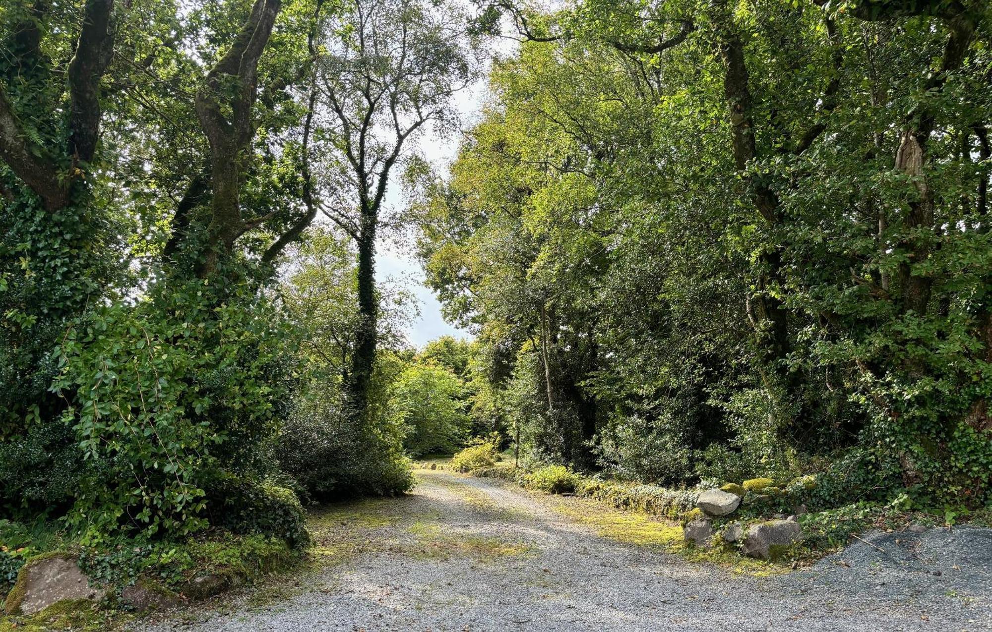 Sligo Forest Retreat エクステリア 写真