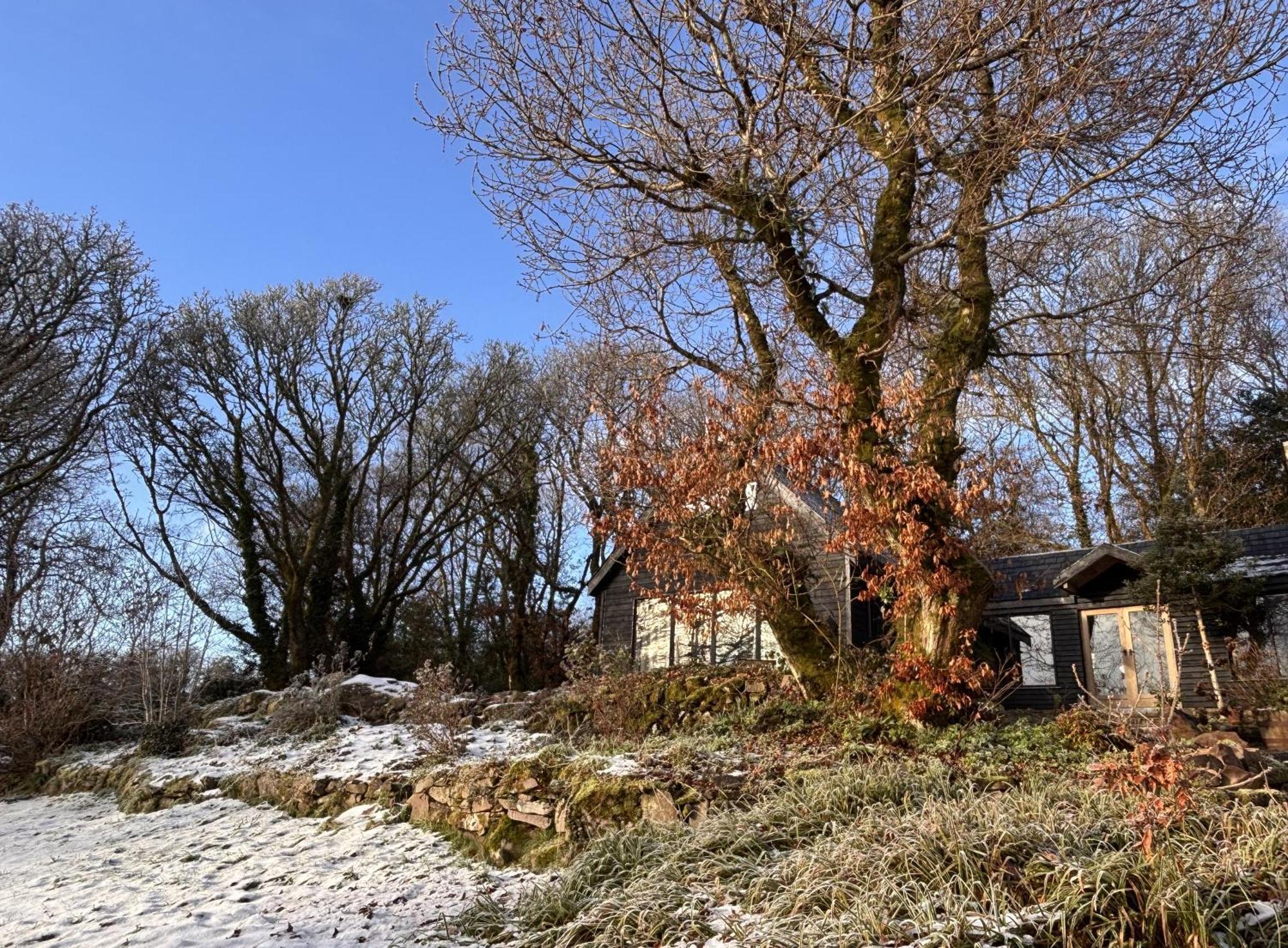 Sligo Forest Retreat エクステリア 写真